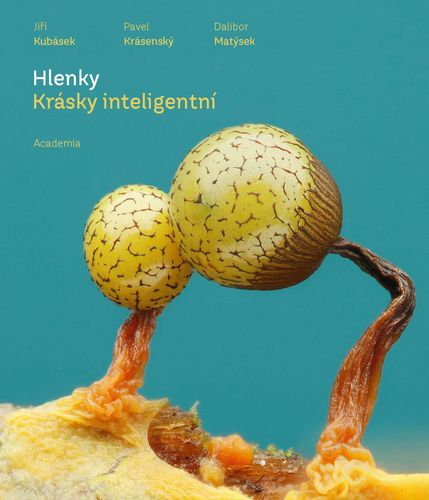 obalka-knihy